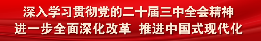 连州四镇齐聚西江,上演“乡村大力王”拔河激战!